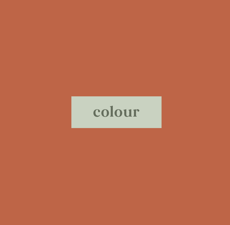 Terracotta Orange Circular Earrings