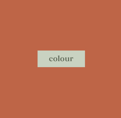 Terracotta Orange Circular Earrings
